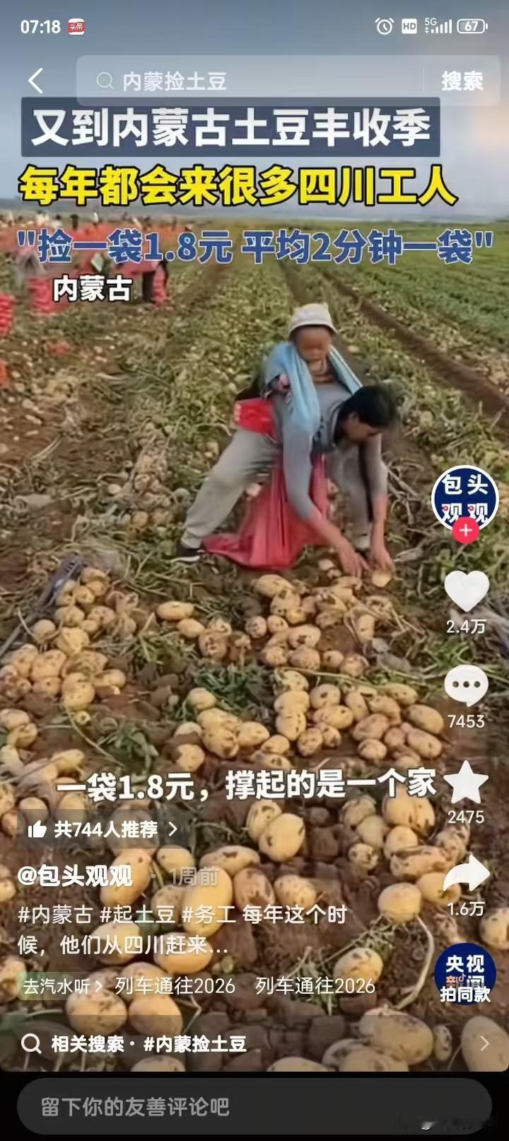捡一袋子土豆1.8元，平均两分钟装一袋子！
最近内蒙古土豆大丰收，好多外地人去内