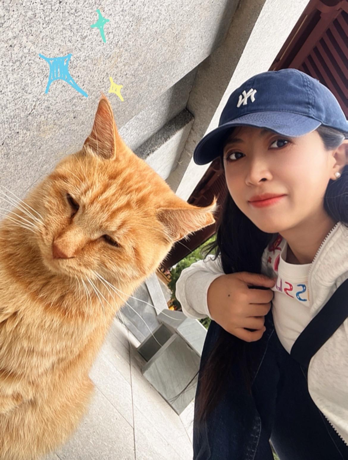 大兴善🪷喵喵寺🐈‍⬛闹市中的一方净土。摸摸猫猫神，为我家猫孩子祈福...
