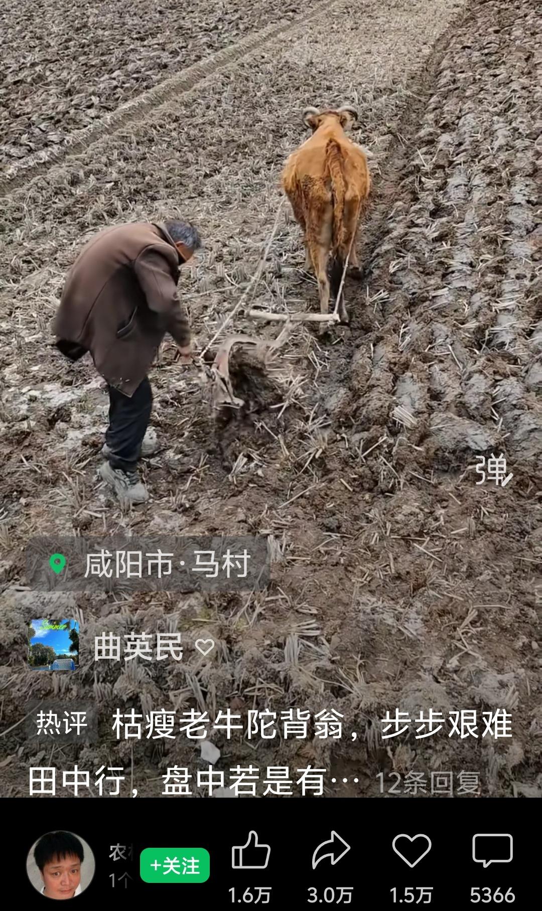 近期，不断传来俄罗斯重要军工目标和莫斯科被乌克兰袭击的消息。普京和他的外长也同时