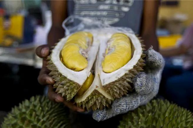 第47届东盟峰会即将于吉隆坡举办。据悉，针对26日的特朗普闭门会议，马来西亚将依