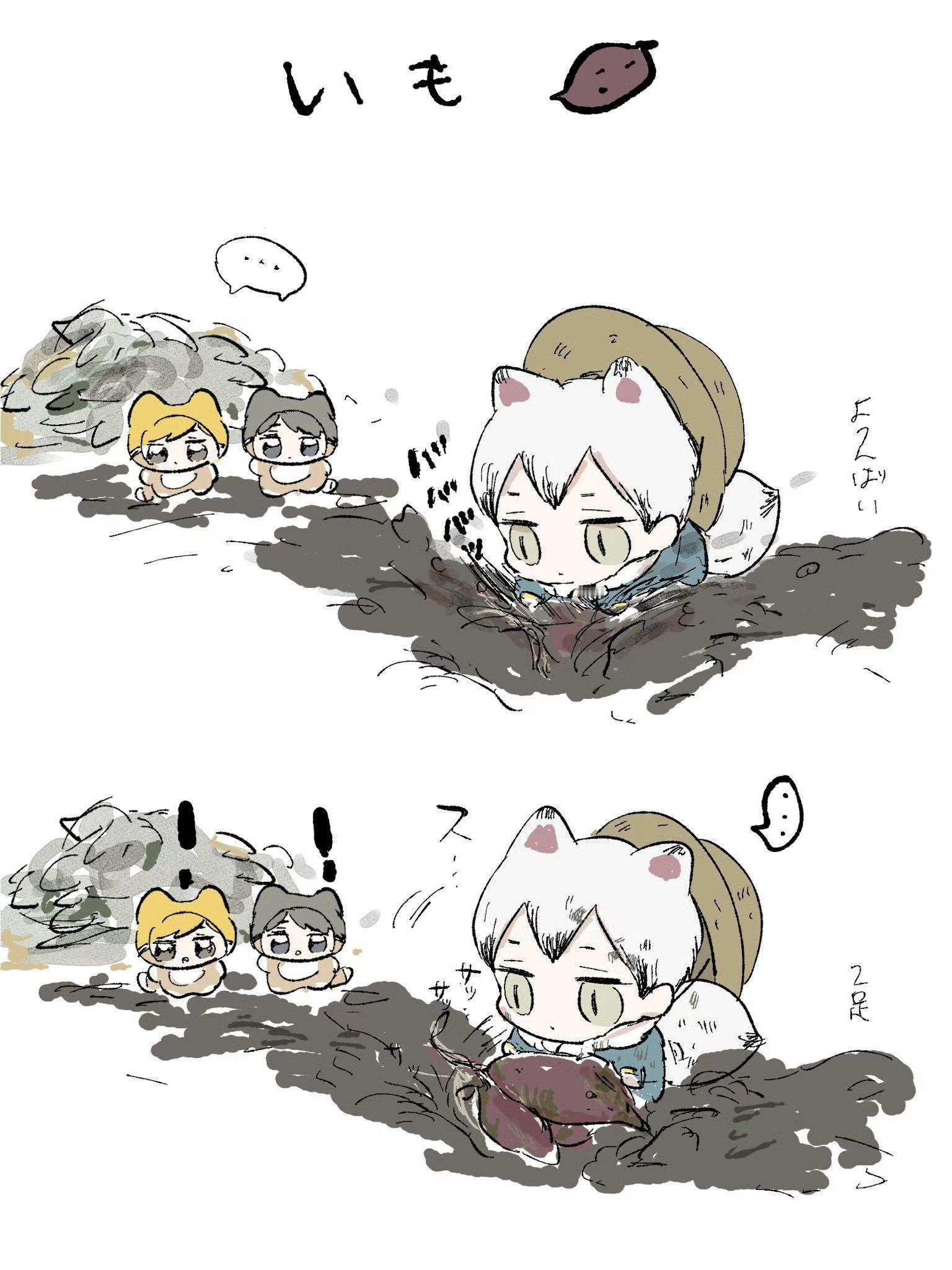 排球少年沉迷于挖土豆的北队排球少年动漫仲夏狂欢季  cr：himeccooo 