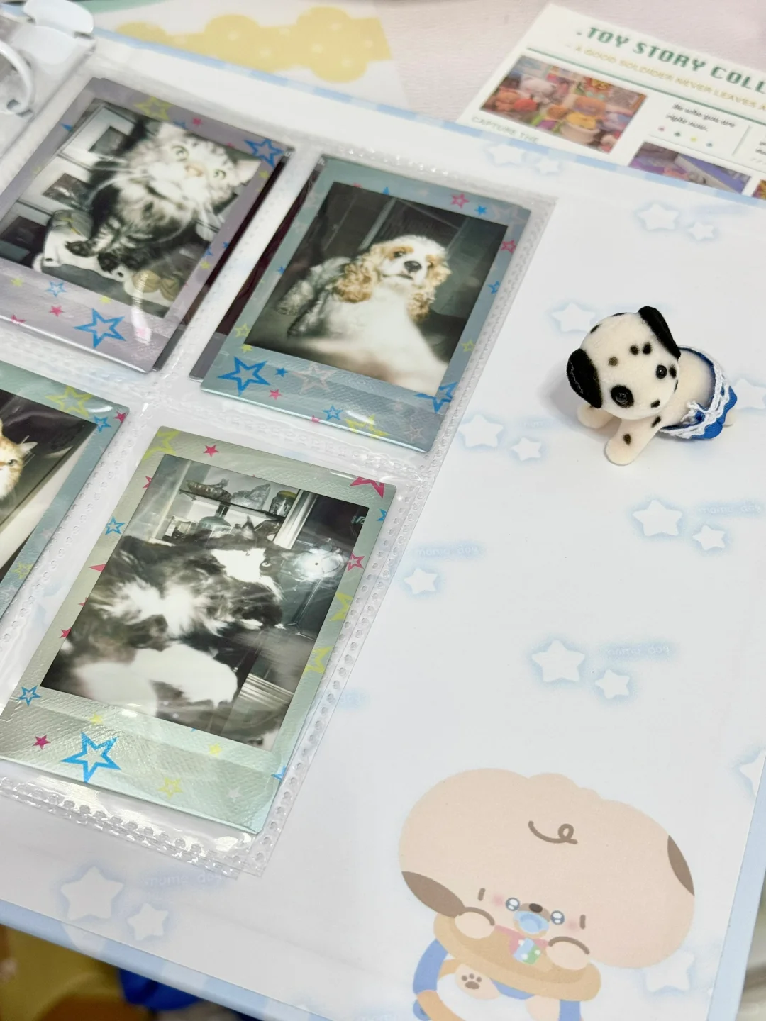 小狗卡册和小狗宝宝🍼