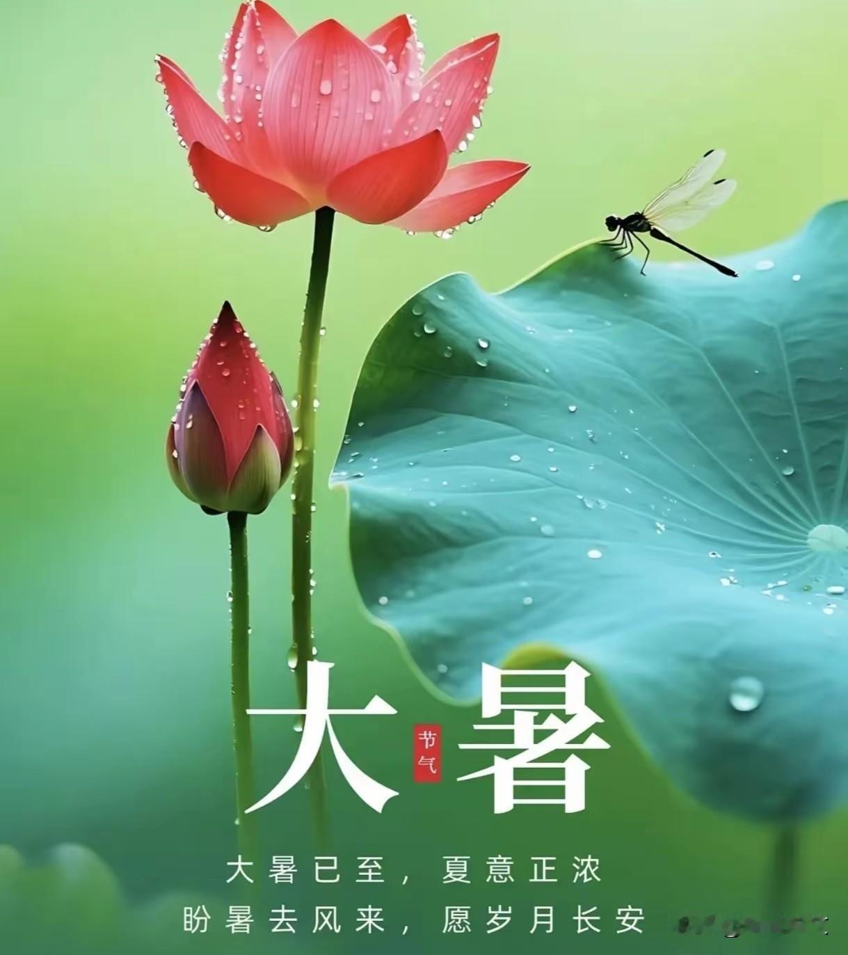 临近大暑闷热难熬！早晚冷热差别不大，家里老人小孩避暑别蛮干



快到大暑最坑人
