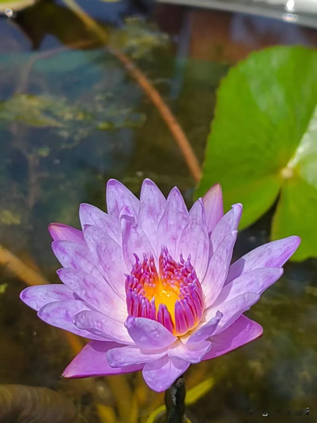 #每日一悟#
今日一悟：生活就像一场漫长的旅程，我们在其中不断地经历着起伏和变化