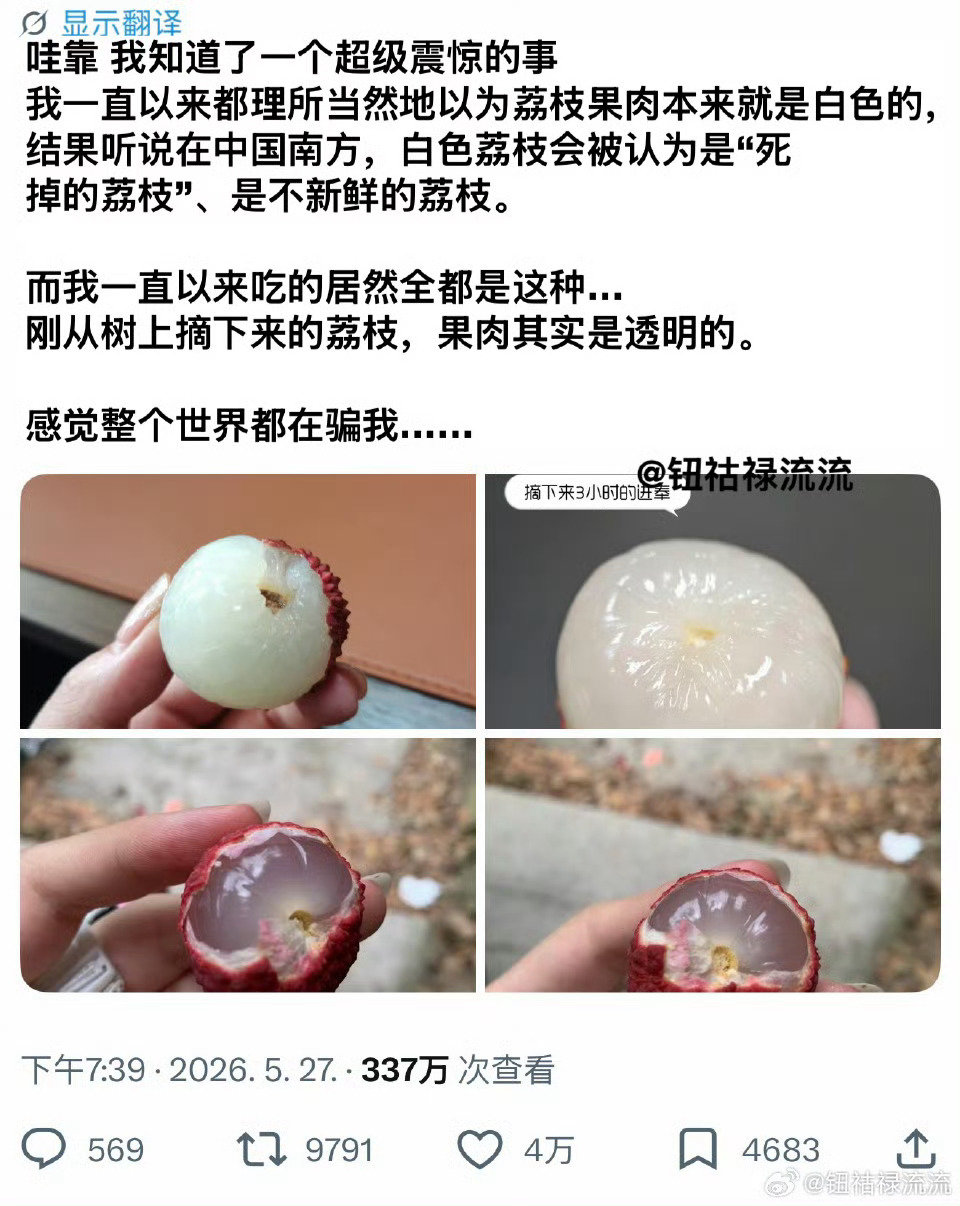 我记得之前好像讨论过这个问题，很多家里有荔枝树的人说刚摘下来的荔枝也有白色的，这