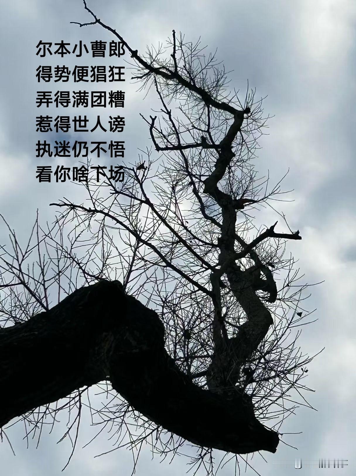 贪官庸才自画像:尔本小曹郎，得势便猖狂，弄得满团糟，惹得世人谤，执迷仍不悟，看你