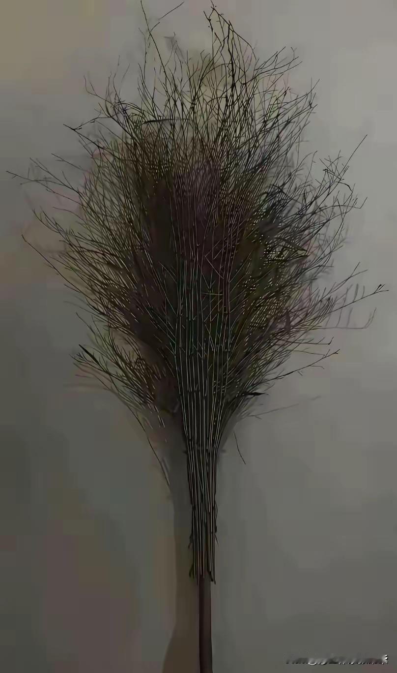 万能的朋友，帮我脑补一下这是什么？