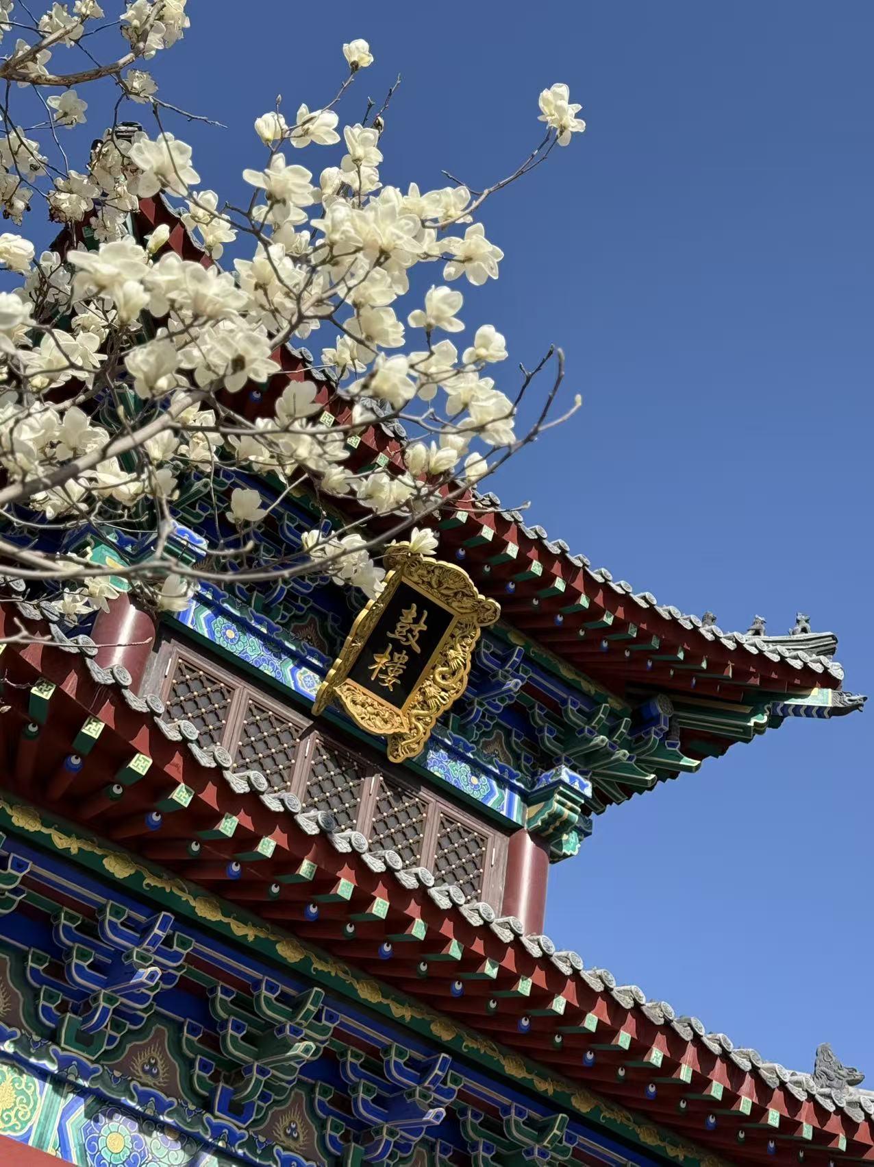 低谷期谁都有过，那感觉就像掉进了黑暗的深渊，四周冰冷又绝望。但别害怕，每个人都会