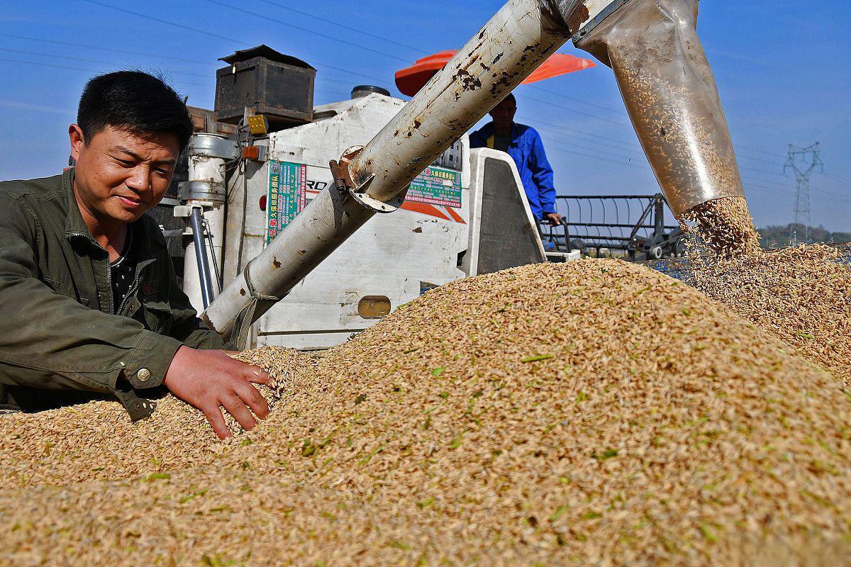 全世界都以为中国是傻瓜，人傻钱多，都在等机会狠狠敲诈中国一笔，巴西大豆握着中国7