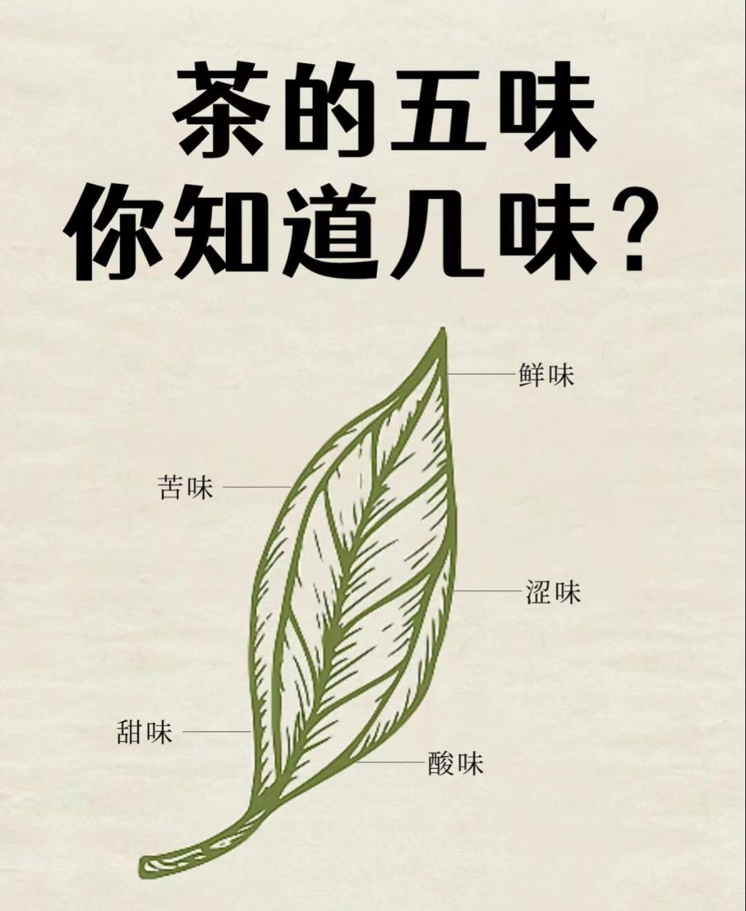 茶人入门必备，茶的五味，你都知道吗？召唤茶友 茶叶 #今天你喝茶了吗