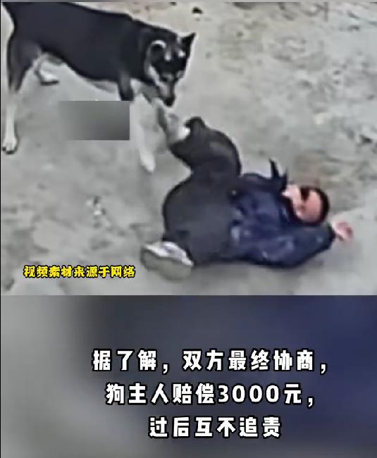 河南小孩擅自摸狗被咬伤，狗主人被索赔6000元，最终协商赔3000
最近河南发生