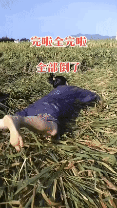 至于吗？[泣不成声]