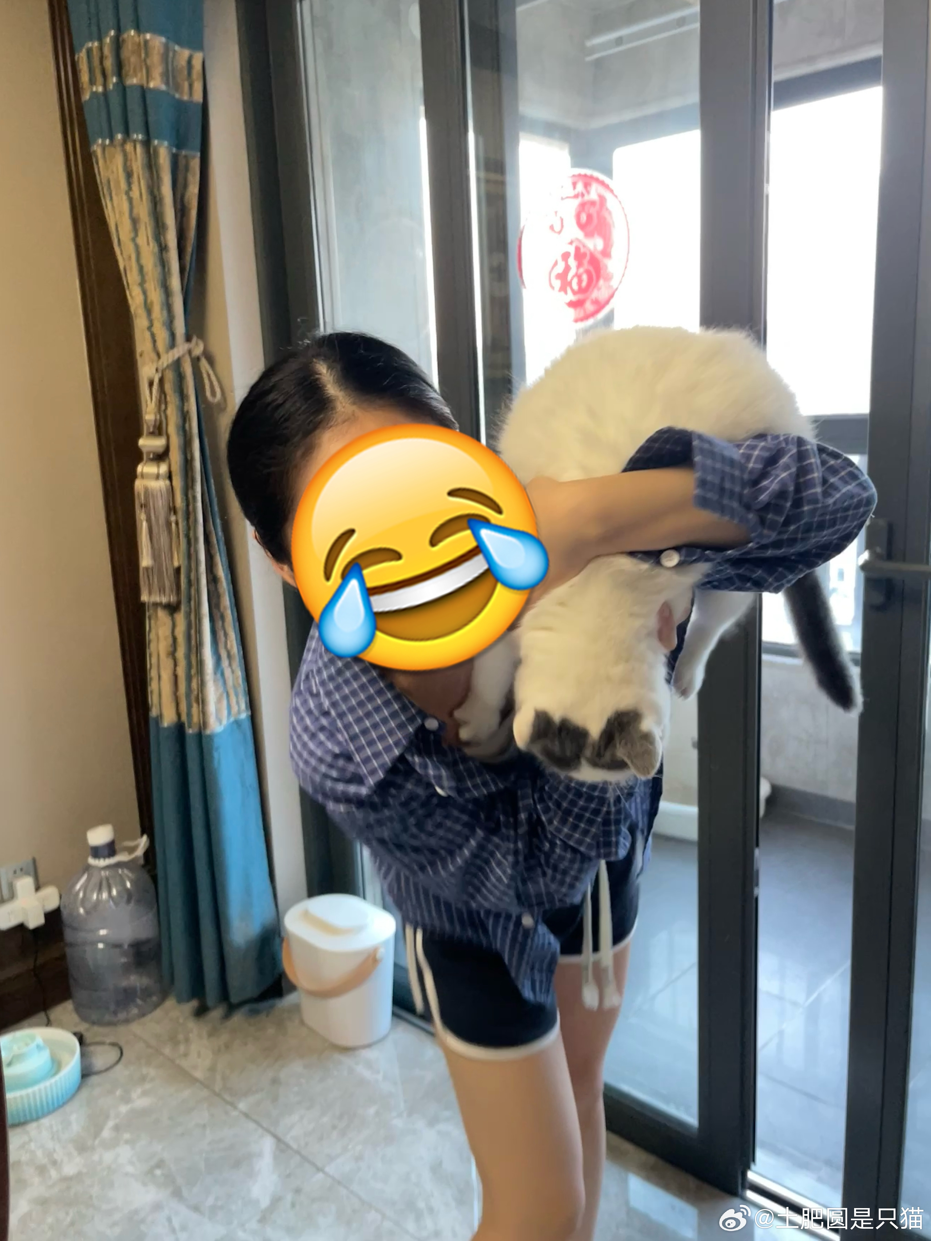 服了，这啥啊这是，啊？让我爸拍个我和豚豚的合影，拍了半天就这一张？前面岁月静好的