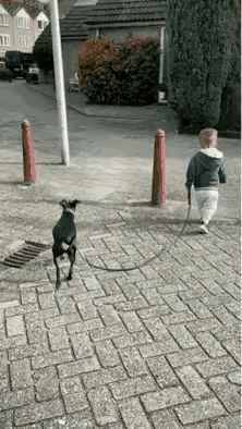 小孩也是懵了