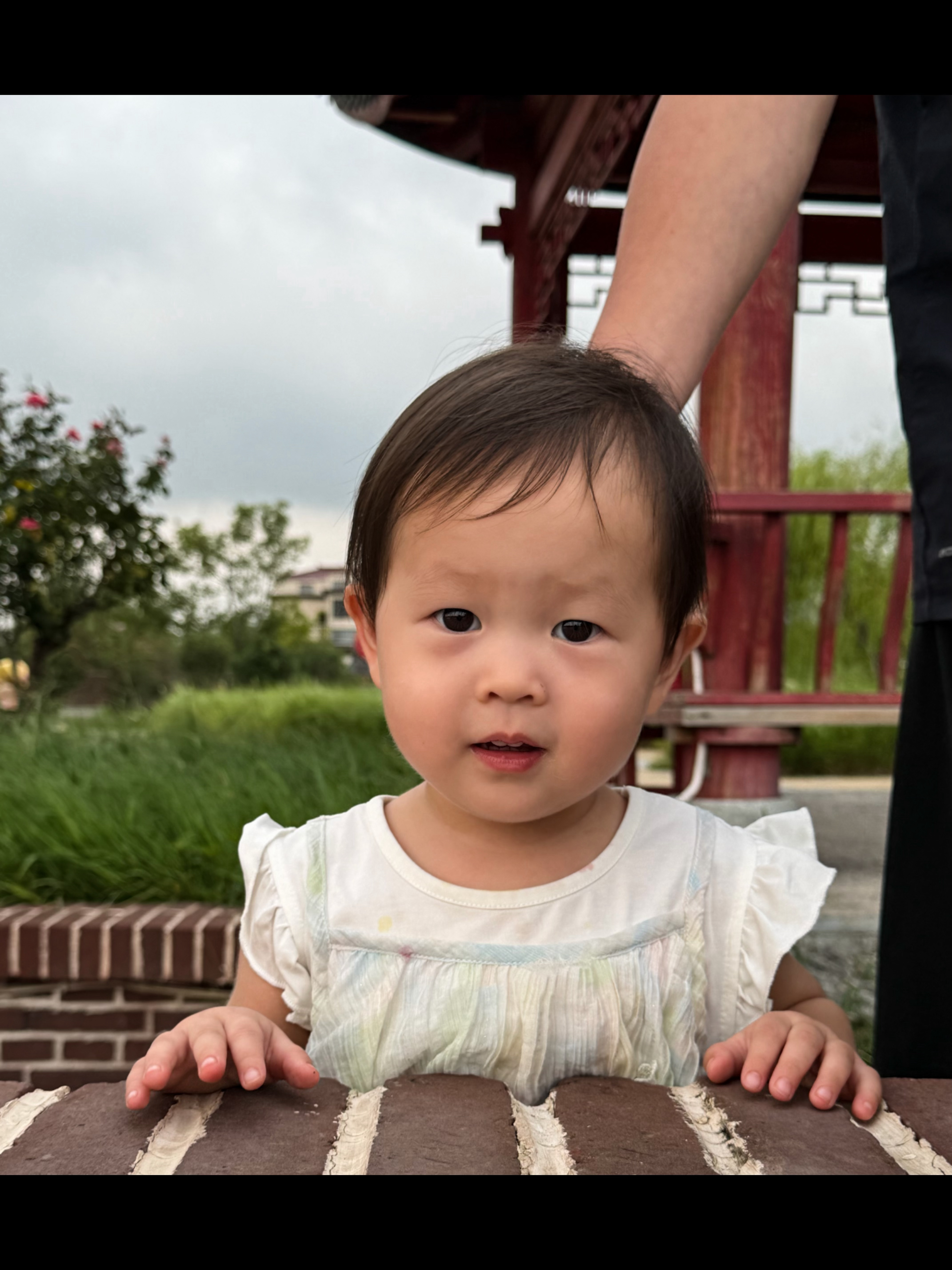 拿捏我的心 