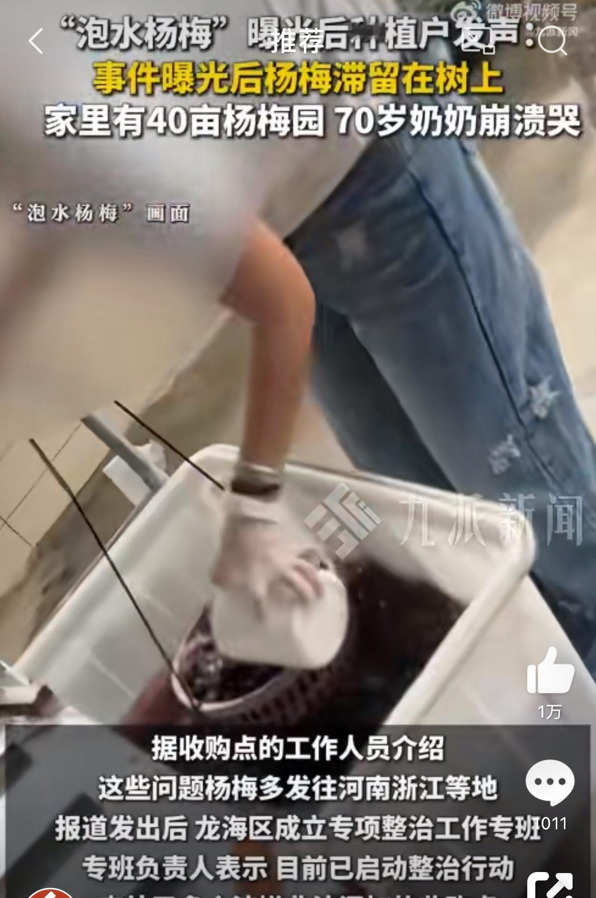 一位70岁的奶奶蹲在自家杨梅树下，看着满山红彤彤的果子，突然忍不住捂着脸大哭起来