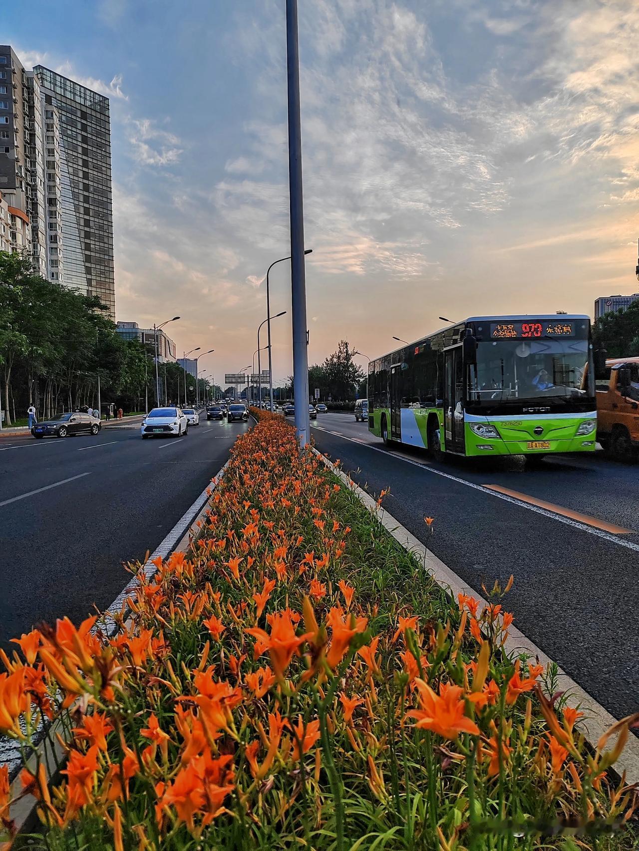 今日晚饭后散步时，用手机随手拍下了北京南站里出发和抵达的高铁沐浴在晚霞中的画面。