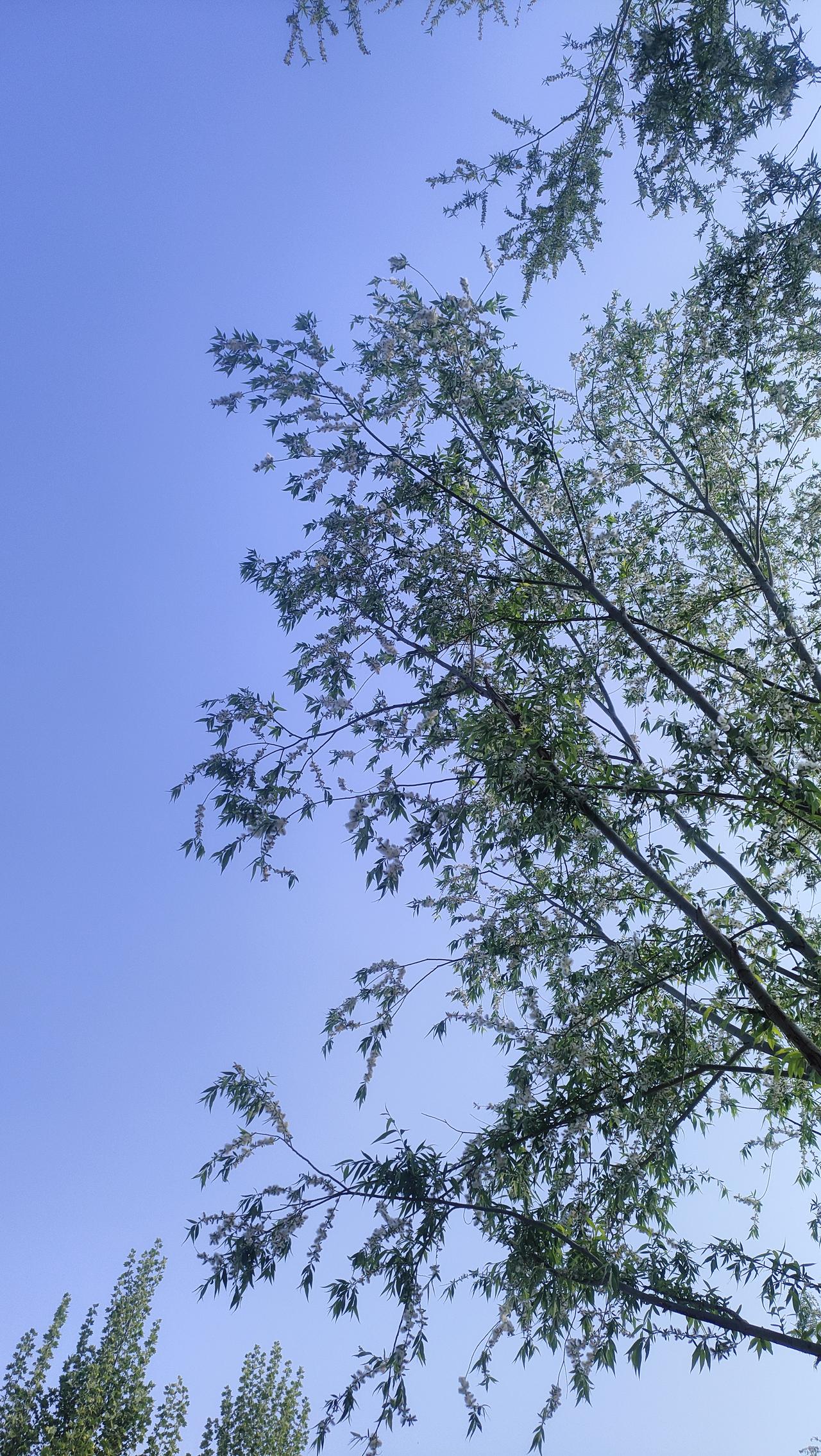 随手拍一张天空照