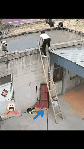 这小娃娃差点就登顶了