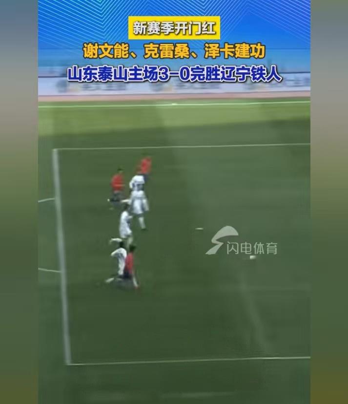 今天下午山东泰山队对辽宁铁人，全程看完，感觉球队的状态很好。有这么几点。
1、上