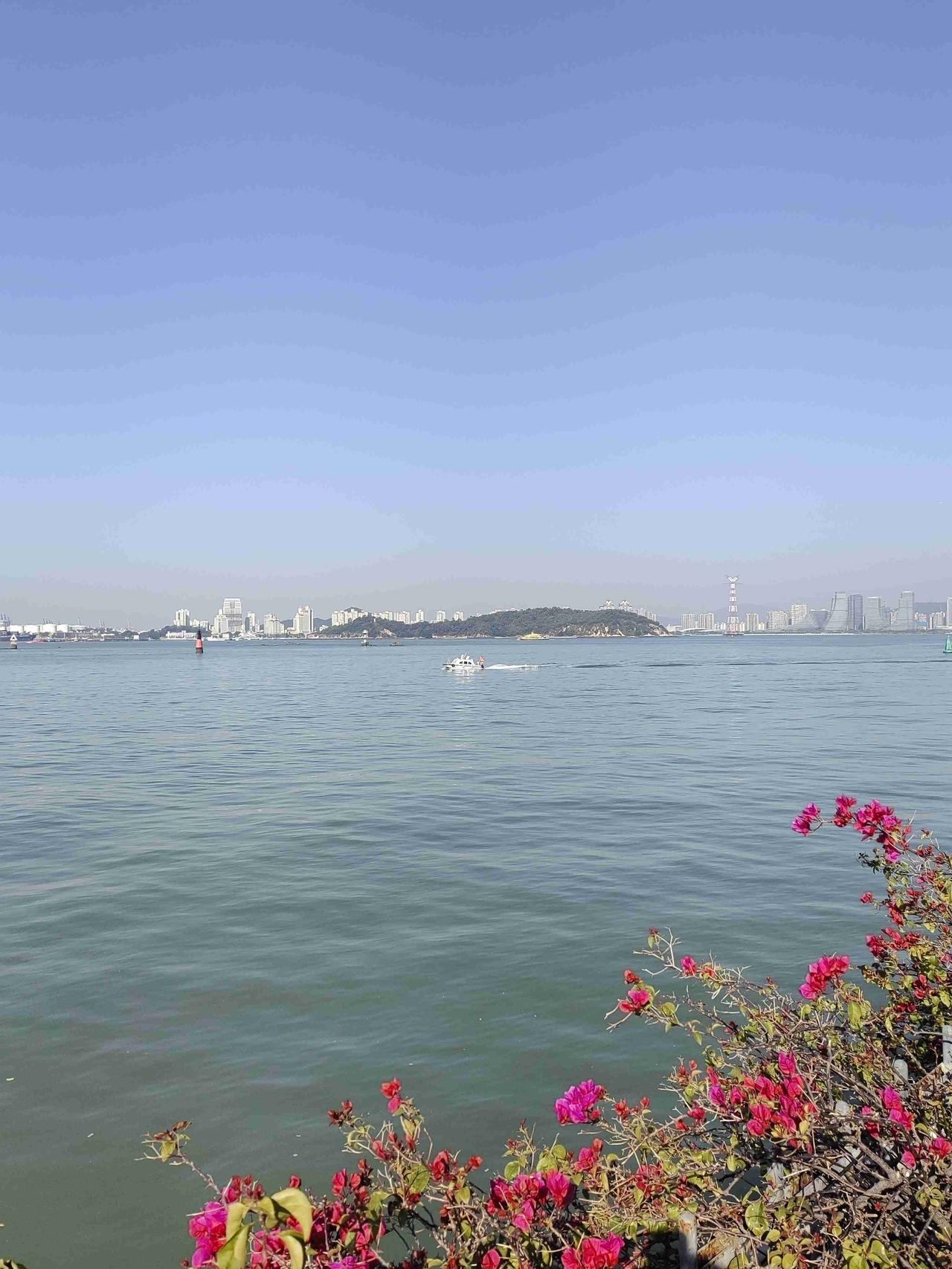 29°，一大早的高温真的让人招架不住，出门一趟，大汗淋漓。

我家老太太她们的小