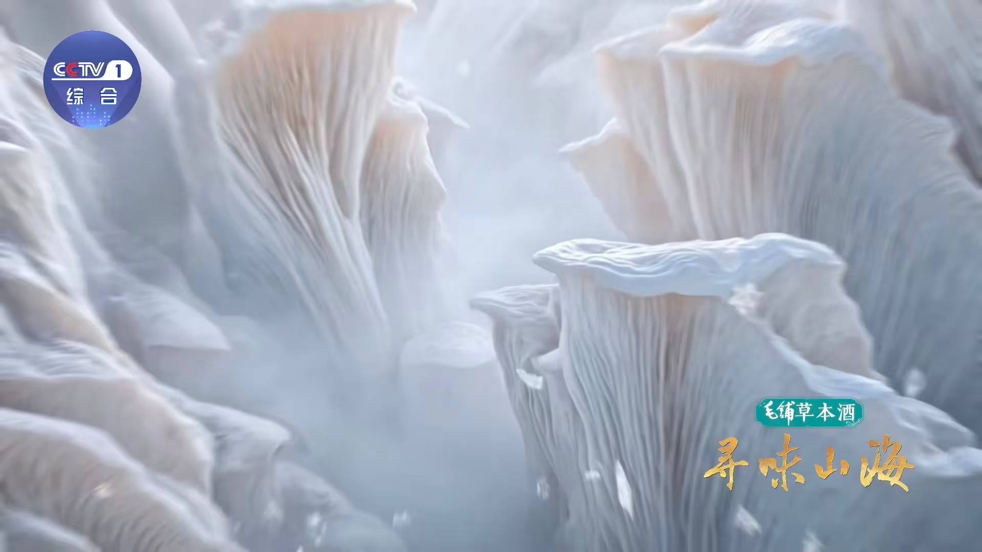 用美食的方式打开大好河山寻味山海换个角度领略祖国风光，食材摇身变成山川大漠，山河