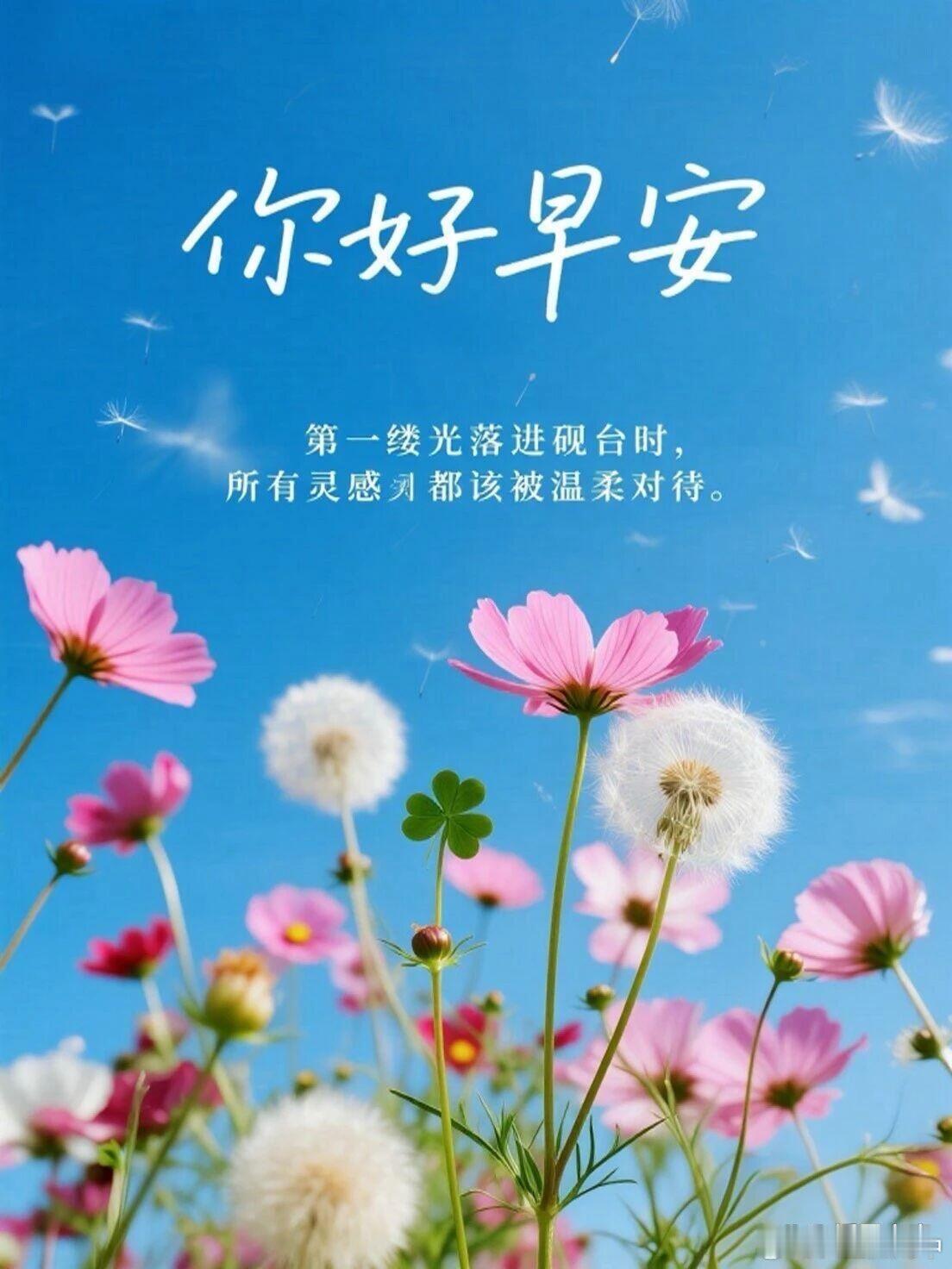 早安 早安！晨光温柔，心绪明朗。带上满满的热忱出发，保持眼里的光亮，用心捕捉生活