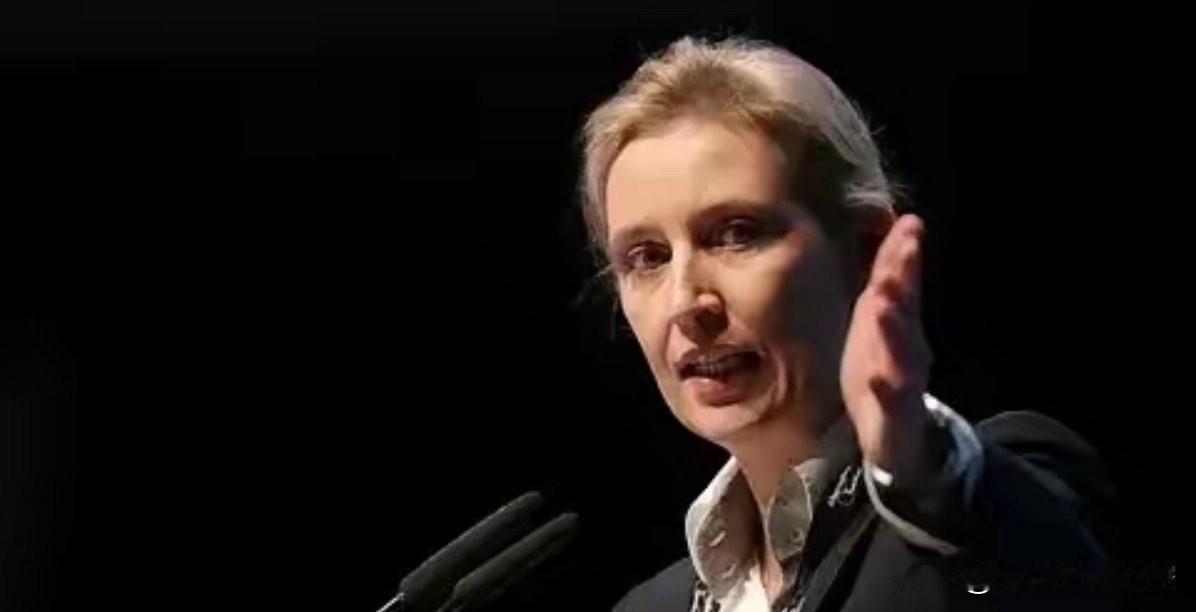 德国这回真炸了！

选择党民调冲到27%，直接登顶。

那些传统的老牌政党，像联