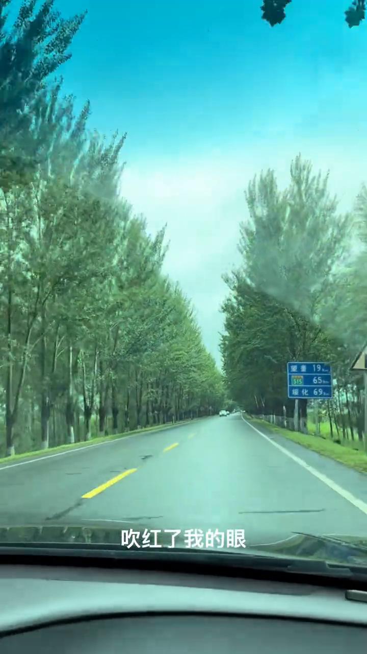 风又吹了我多少遍，吹红了我的眼，我只能无数次在梦里怀念从前。时间从来不曾改变，你