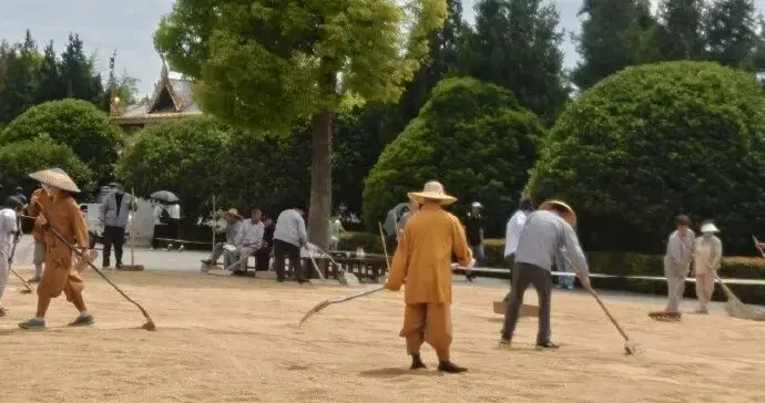 锐评：为麦场上的白马寺僧人点赞