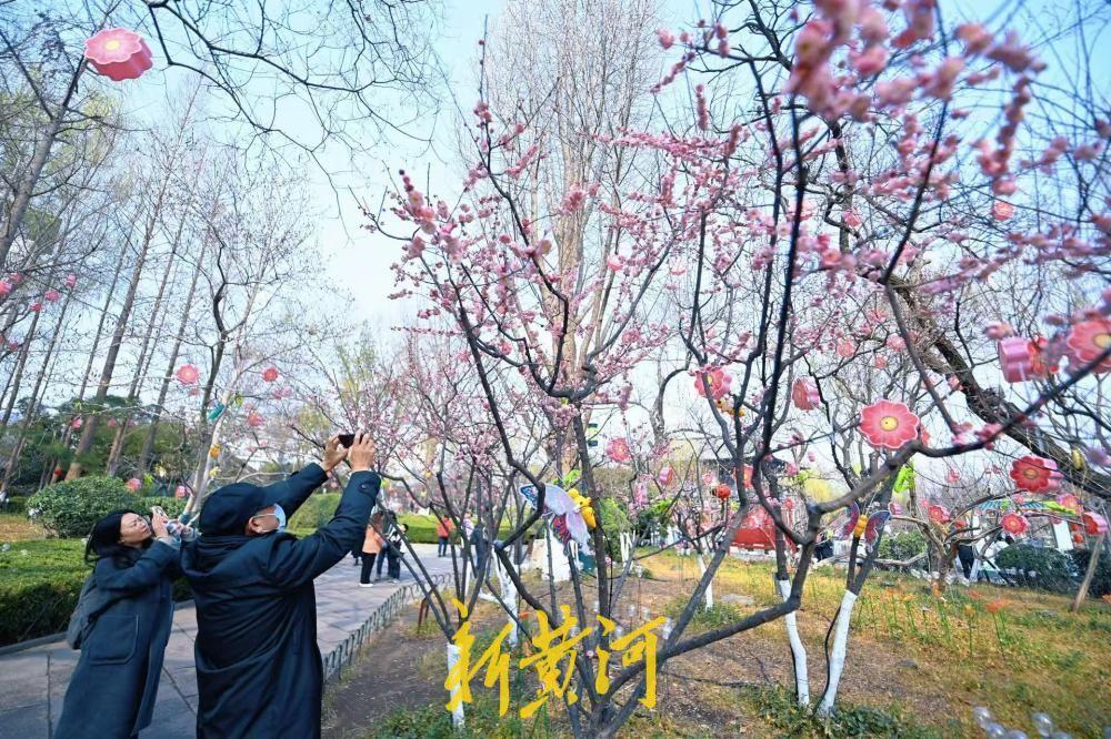 2月27日，五龙潭泉池南侧的红梅竞相开放，在泉水的滋养下，格外娇艳，花朵在春风中