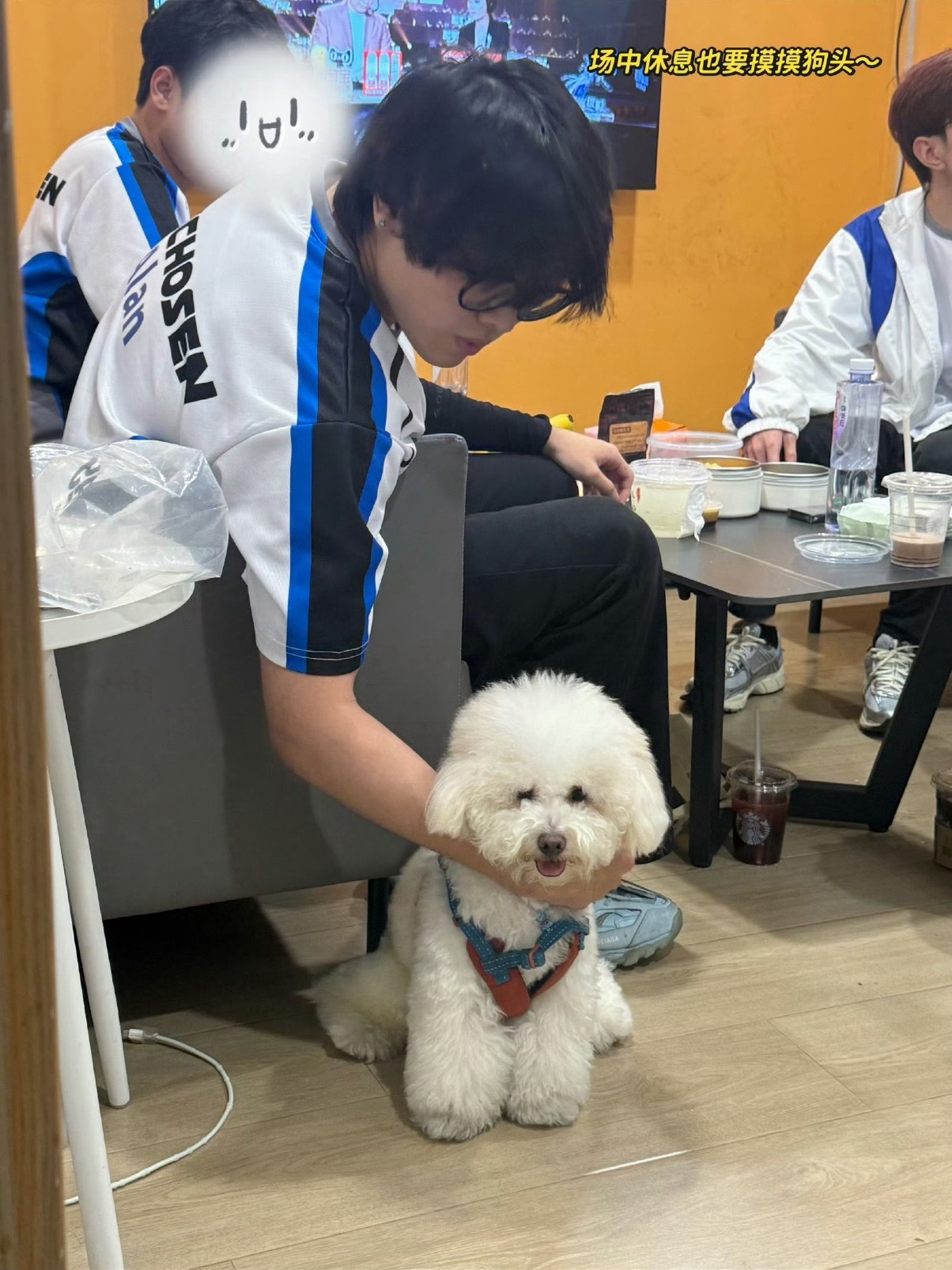 小胖lan  这个兰少看上去很喜欢小狗哦2026pel夏季赛2026pel