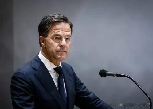 “我们有的是钱，可以为乌克兰购买爱国者防空系统。”荷兰首相马克·吕特发表声明，“