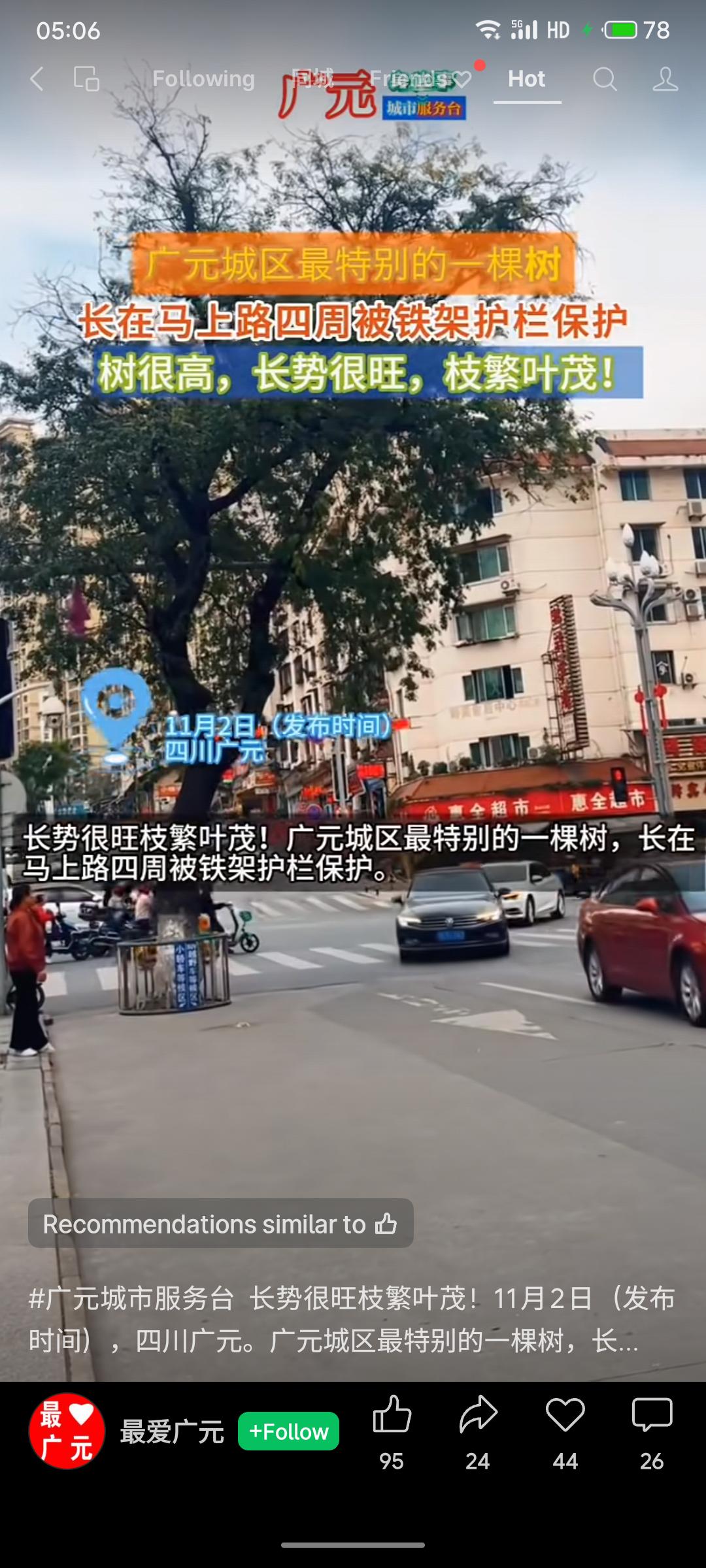 这棵长在广元马路中央的树，被铁架悉心守护，成为城市中一道独特的风景。它在车流中倔