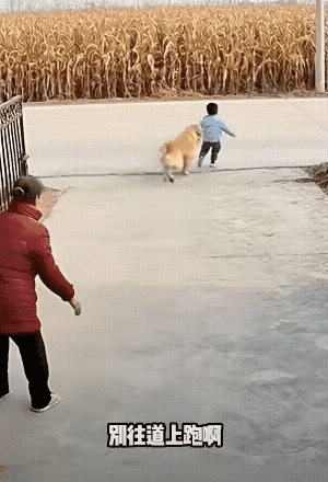 这个老人腿焊到地上了吗？小男孩已经跑到大马路上了，马路上车来车往的，狗狗都冲过去