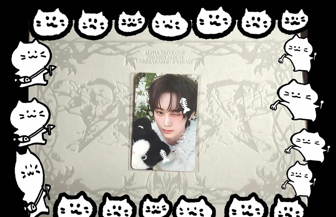 🐱❤️🐠
周安信周安信小卡ald1