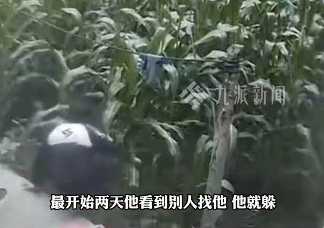 云南11岁男孩被奶奶责怪后负气离家，跳入玉米地后消失：独自躲在邻居家空房，6天后