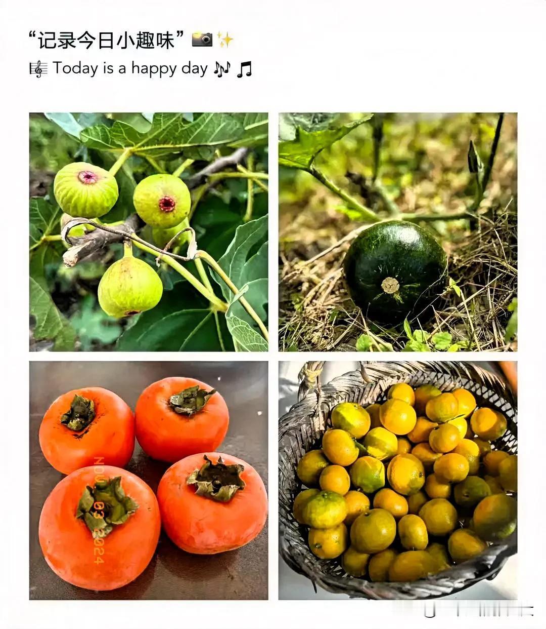 
🍎十一月，在等雪花，圣诞树，新年烟火，和更好的自己