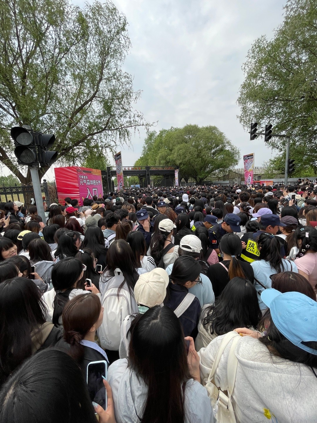 去年今日。 