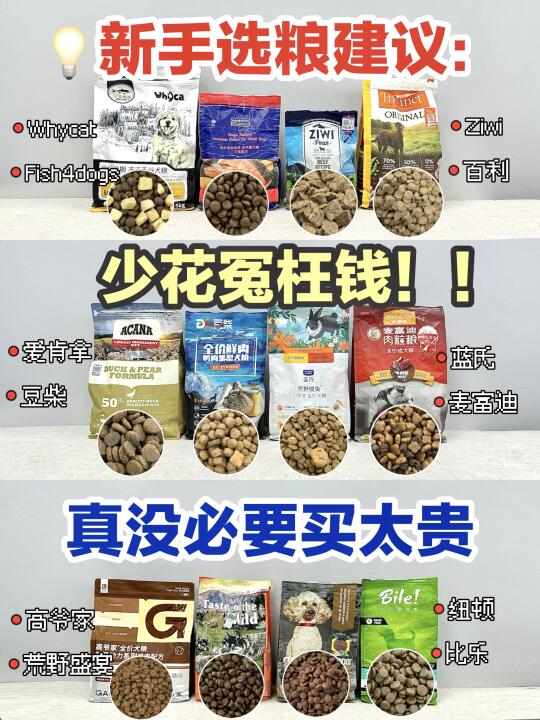 不容小觑！多年养狗经验：狗粮买对不买贵！！