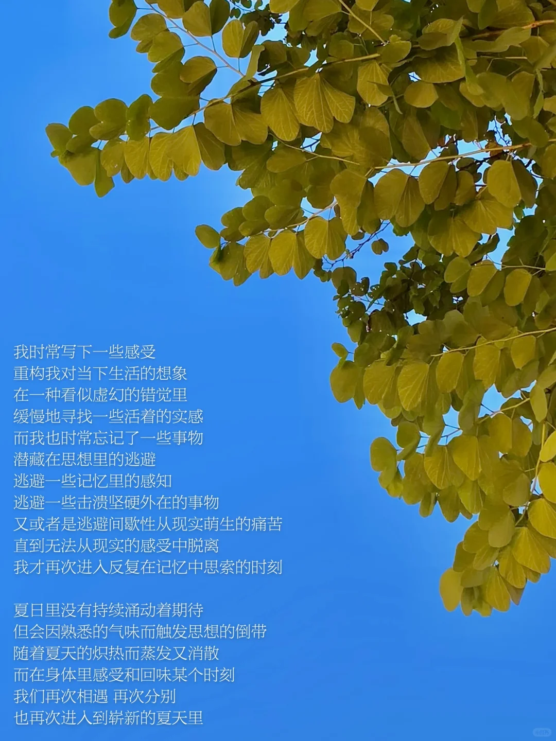 抽离自我，感受夏日，我渴望简单纯粹的事物。