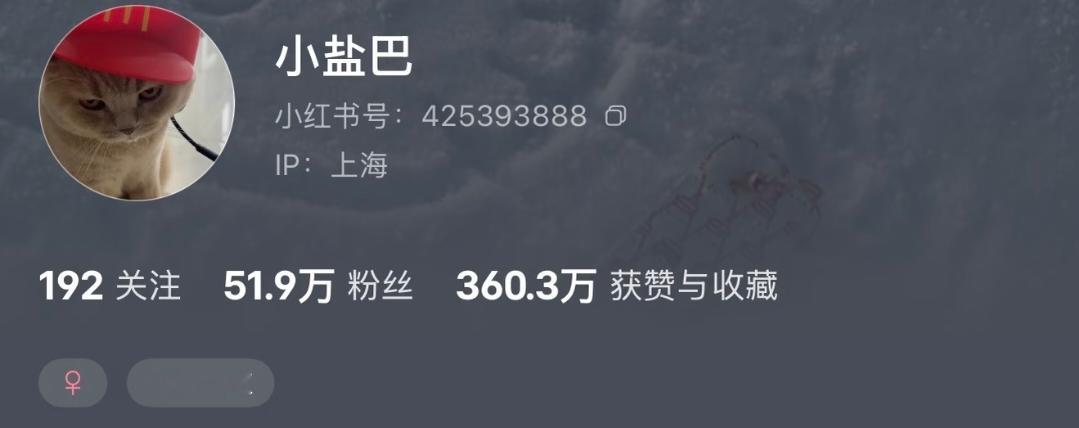 小盐巴🍠51w粉丝一条广报价将近22w，果然钱都流向了不缺钱的人 