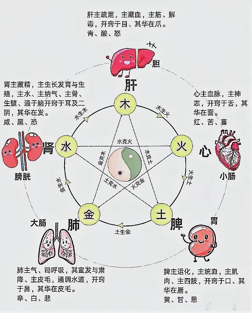原文核心提炼：看懂地天泰、天地否，读懂水火既济、水火未济，才算踏入医道大门。六十