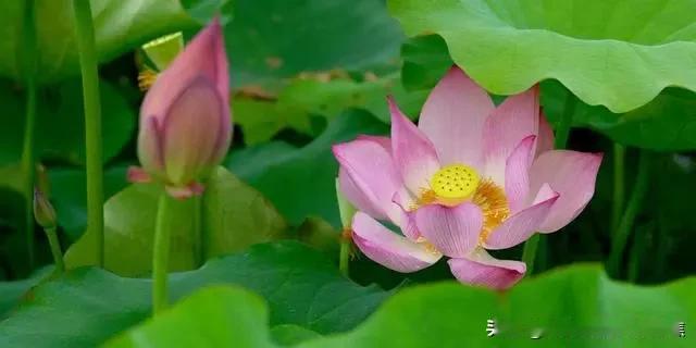 除了性，女性在亲密关系中的刚性需求

在探讨女性在亲密关系中的核心需求时，确实有