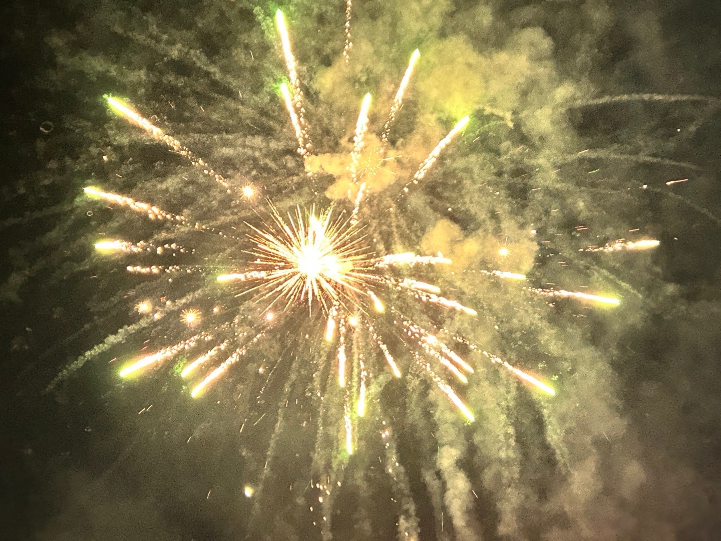 所求皆如愿🎆刚拍的[笑哈哈] 分享给所有看到的人[比耶] ​​​