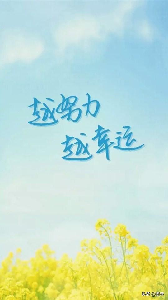 保持精力充沛的10个好习惯

1. 早睡早起
     晚上少刷手机。早点放下睡