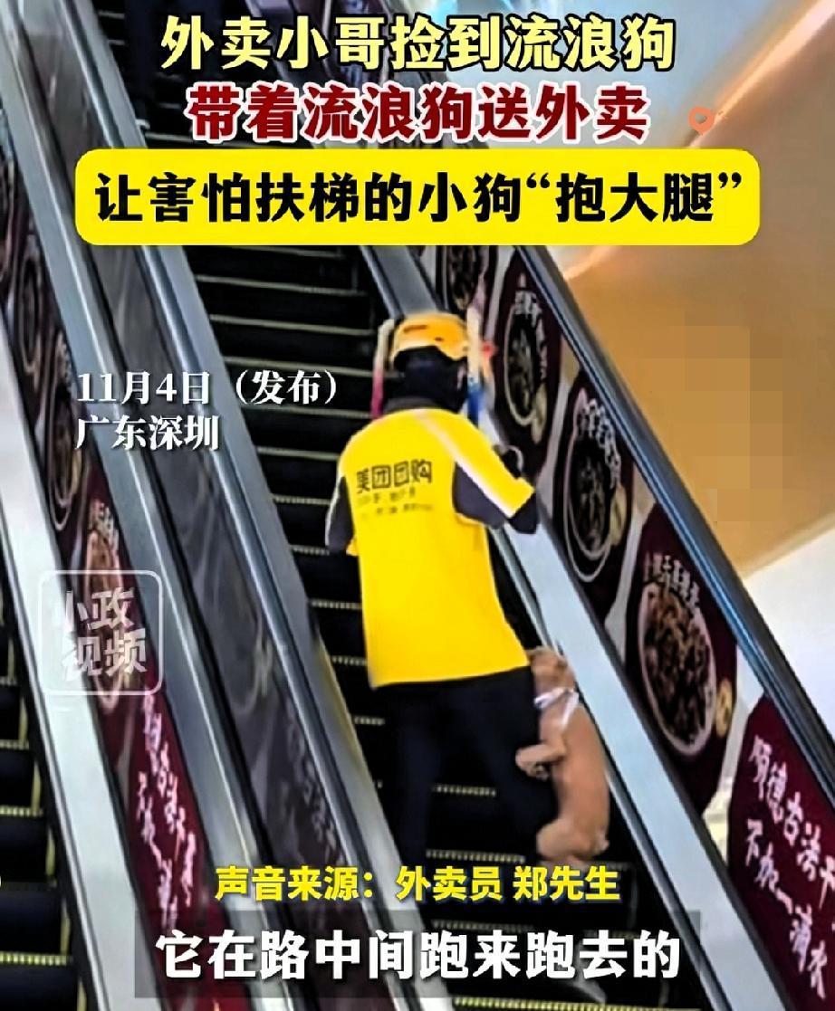 “外卖小哥捡到流浪狗，带着它送外卖！”

这画面看着暖，其实藏着最戳人的善意——