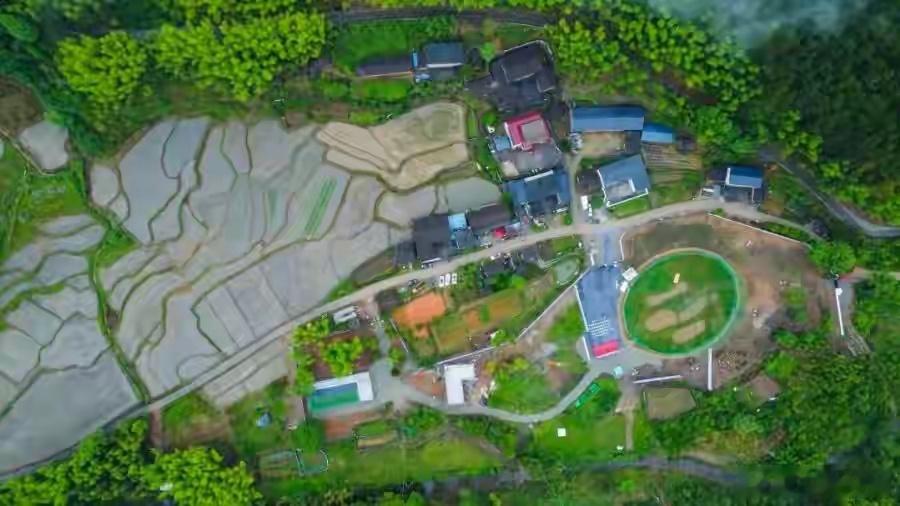 8月21日，福建龙栖山国家级自然保护区引入10只朱鹮满百日之际，龙栖山管理局正式