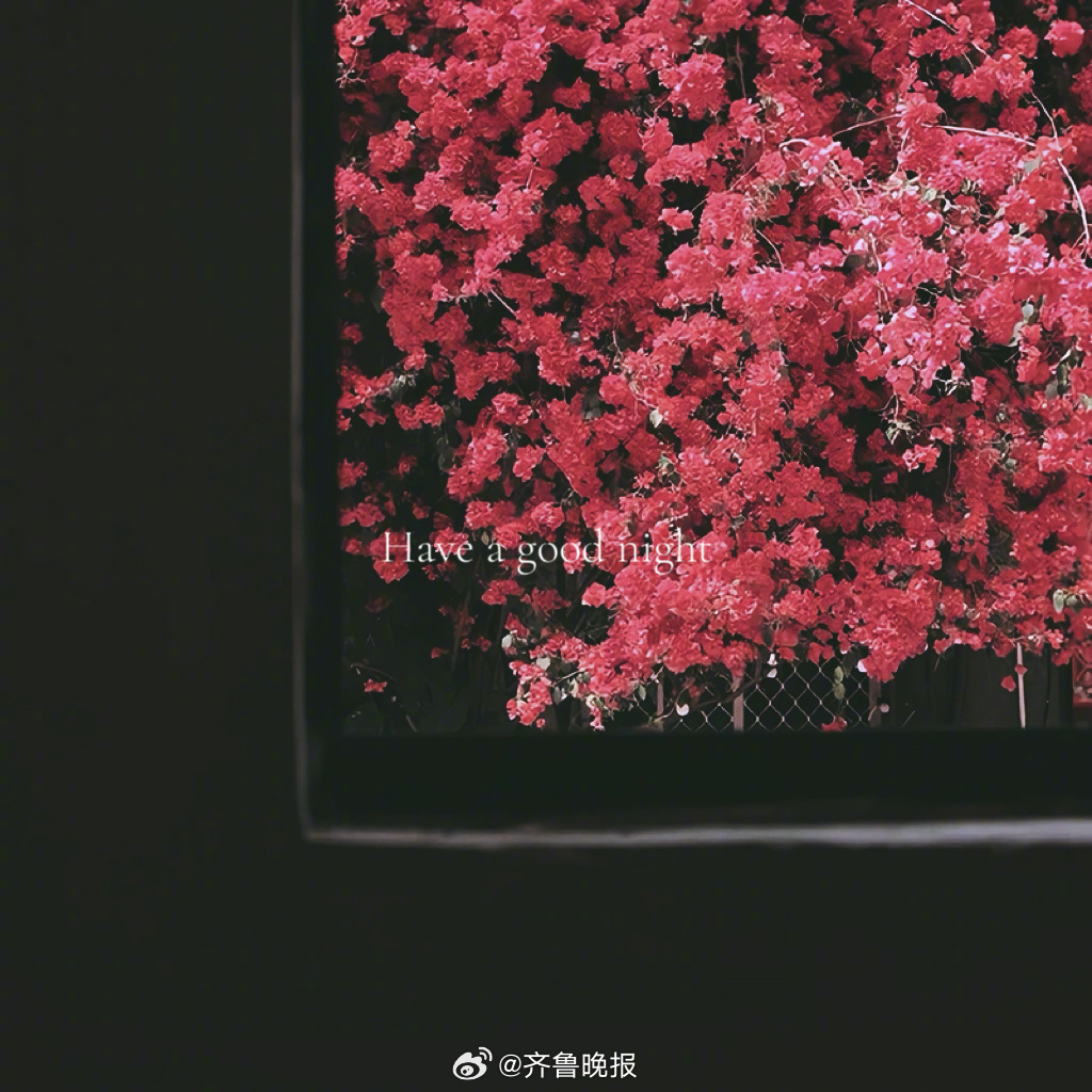 今夜只留松弛好梦伴你到天明#晚安#