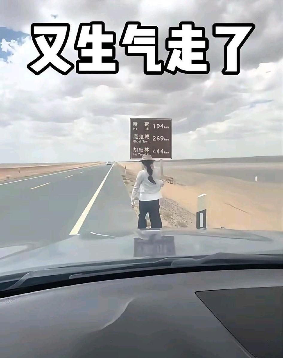 女子和男友自驾出游，途经无人区时二人发生争吵。女子一气之下，不顾男友劝阻，毅然下